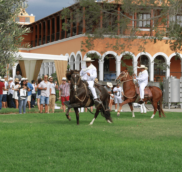 Evento Corporativo - 1