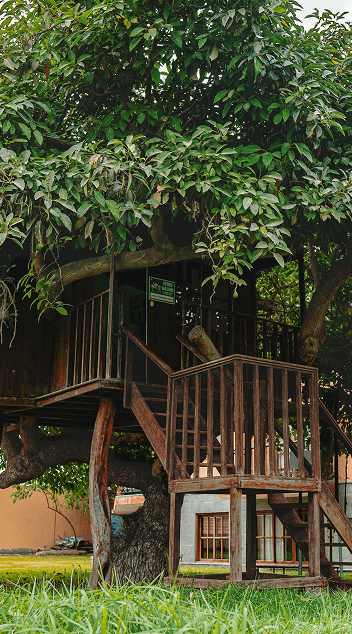 Área Recreación casa del árbol La Caravedo