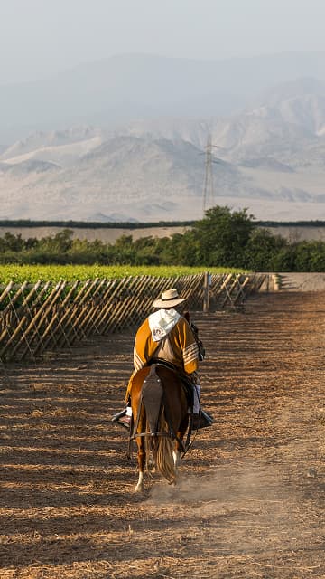 Experiencias cabalgatas La Caravedo